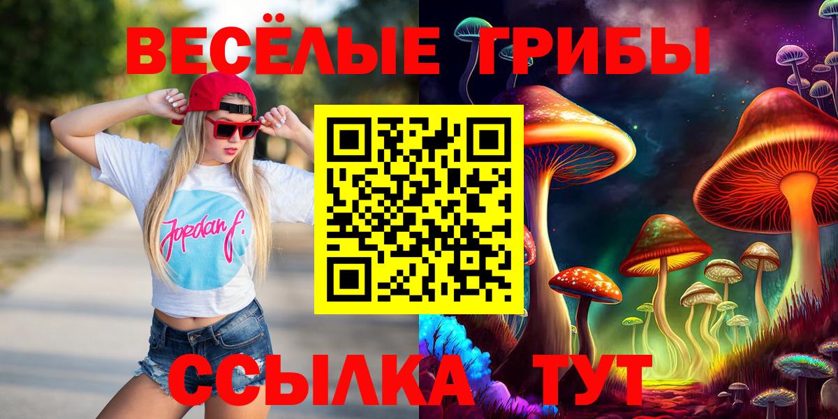 Курчалой  Псилоцибиновые грибы GOLDEN TEACHER  Вход с VPN 