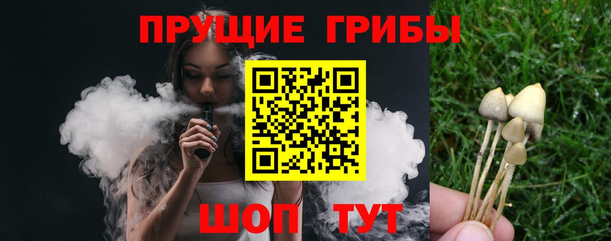 Псилоцибиновые грибы GOLDEN TEACHER Курчалой